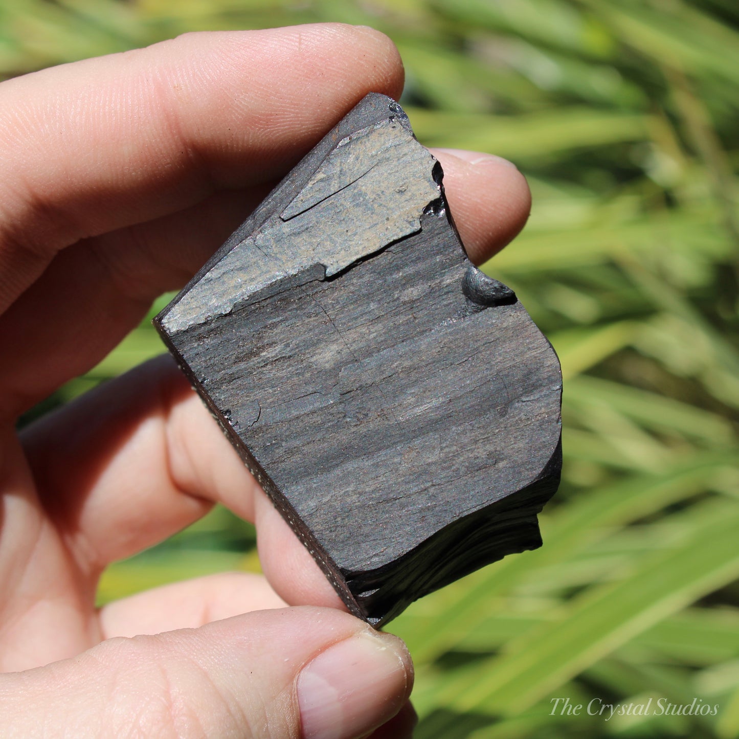 Whitby Jet Natural Crystal With Bark