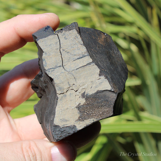 Whitby Jet Natural Crystal With Bark