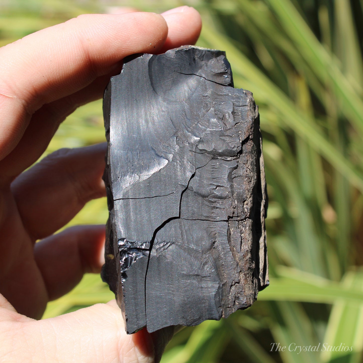 Whitby Jet Natural Crystal With Bark