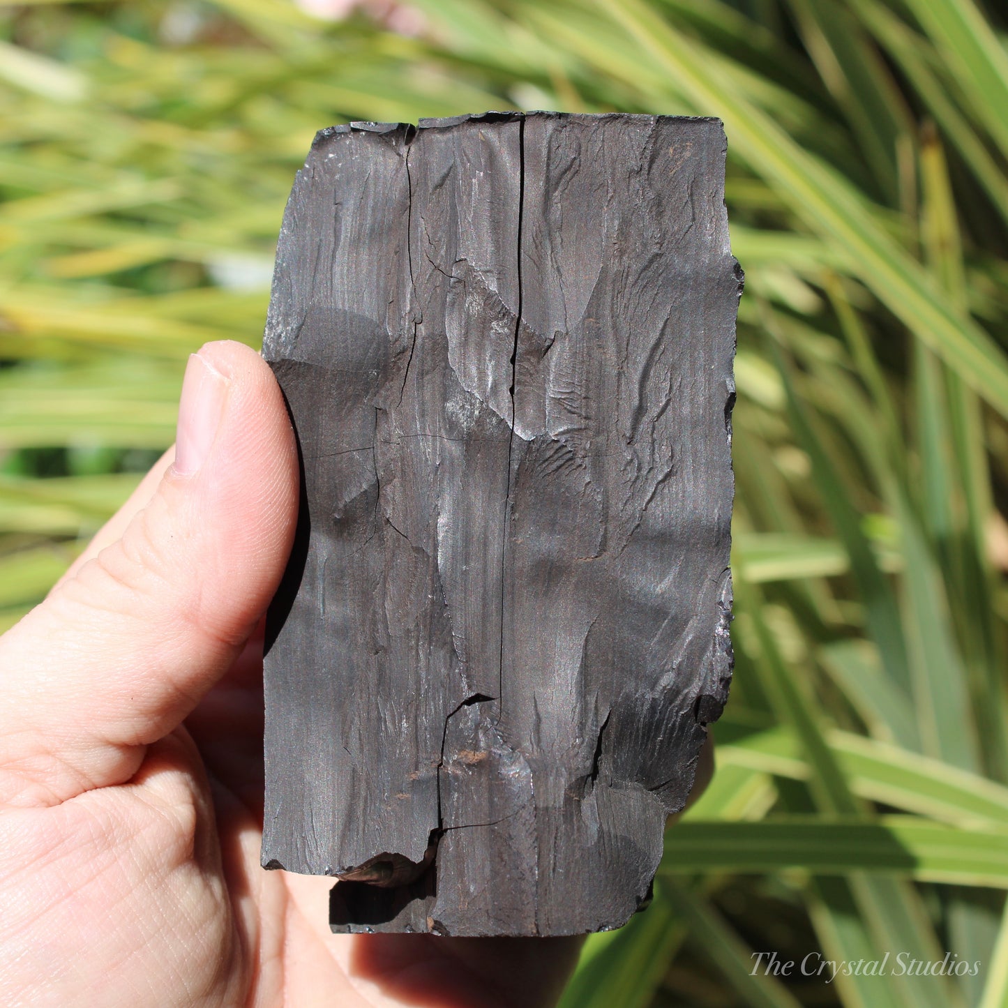 Whitby Jet Natural Crystal With Bark