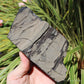 Whitby Jet Natural Crystal With Bark