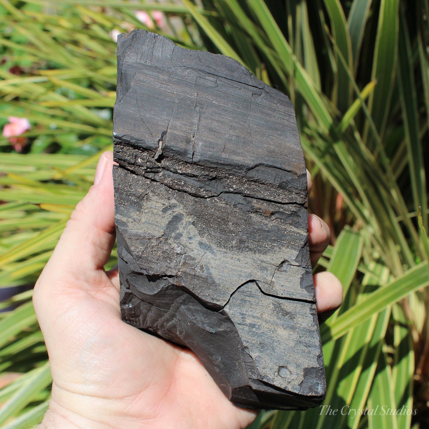 Whitby Jet Natural Crystal With Bark