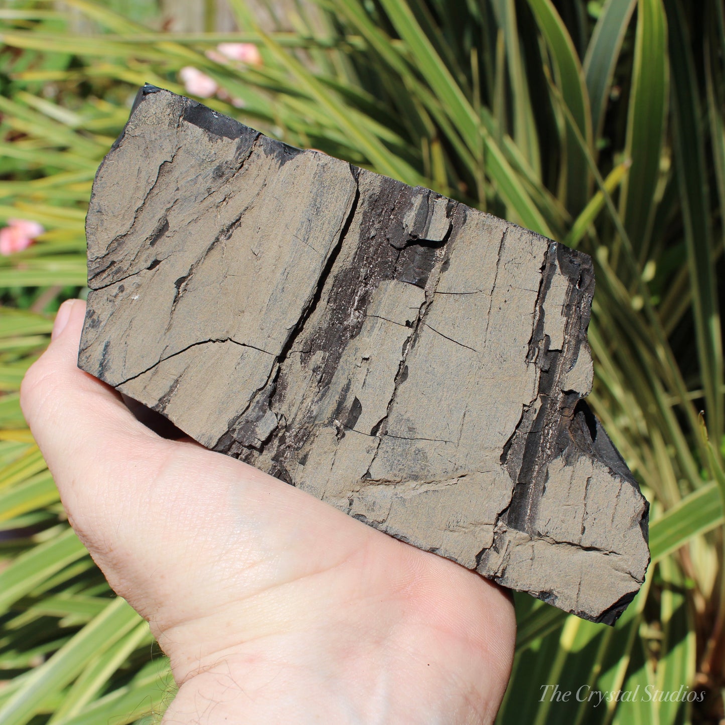 Whitby Jet Natural Crystal With Bark