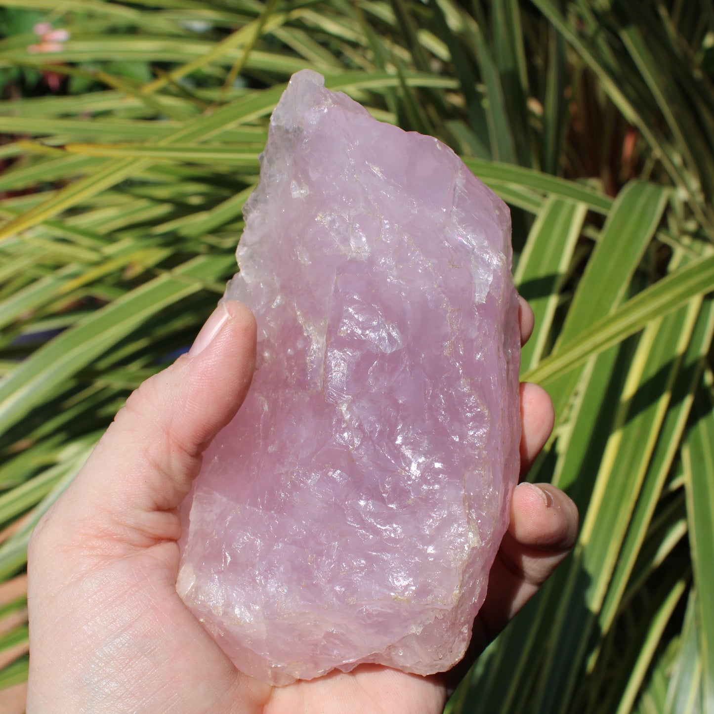 Lavender Rose Quartz Natural Crystal