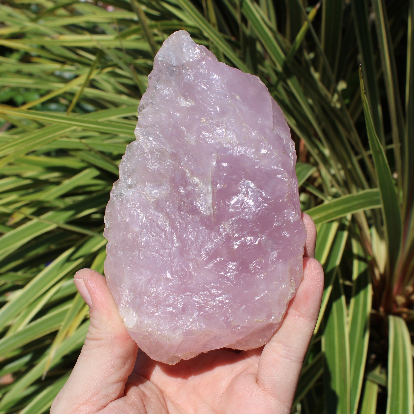 Lavender Rose Quartz Natural Crystal