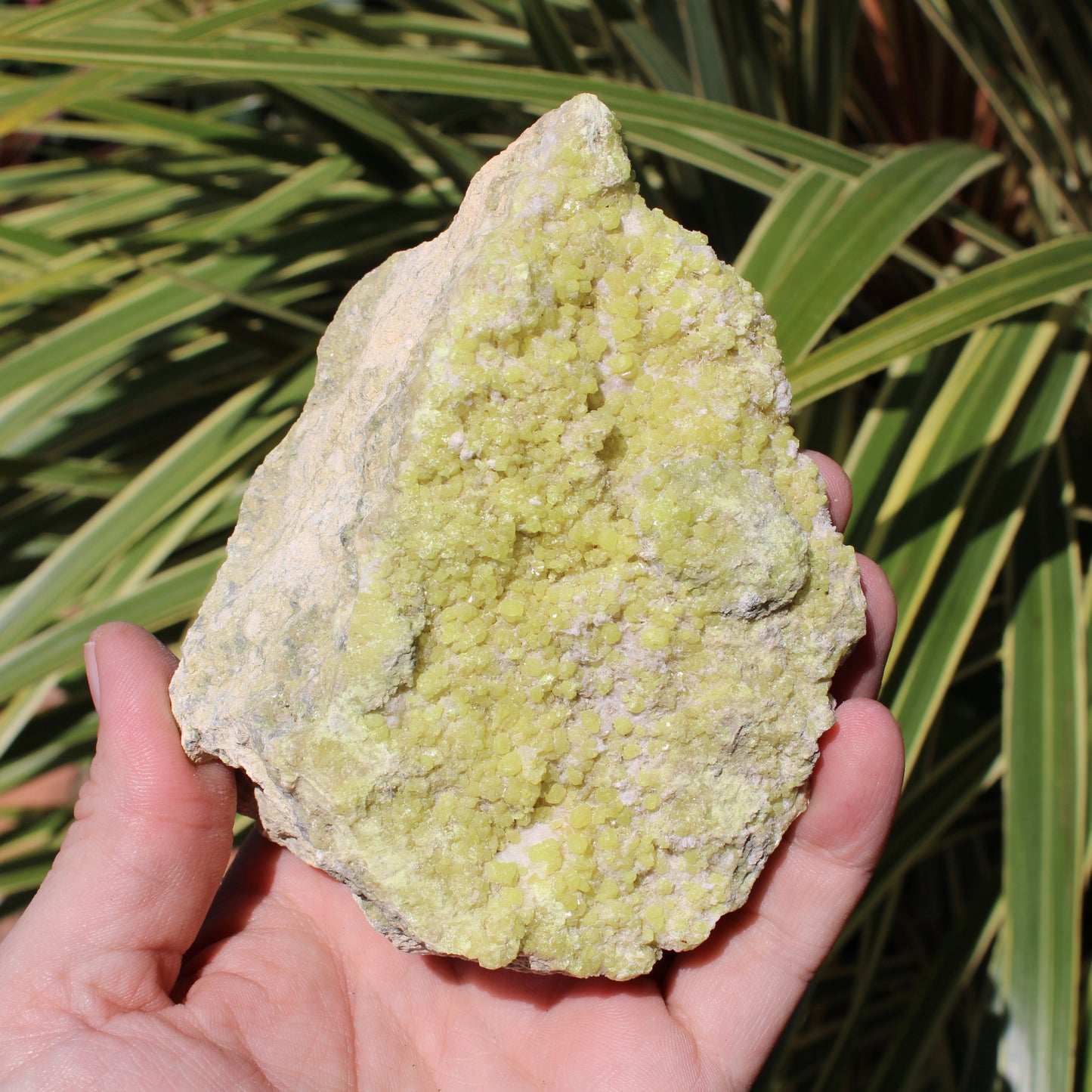 Sulphur Natural Crystal 1