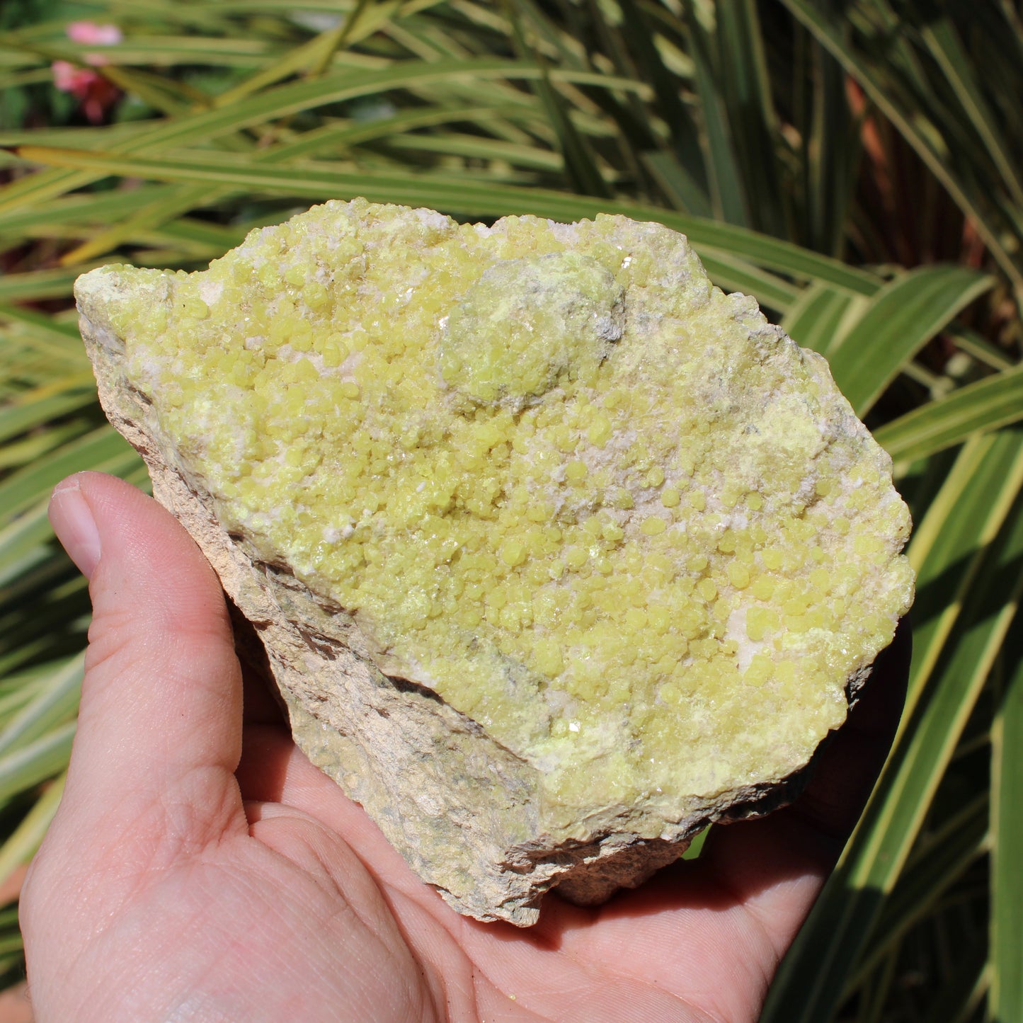 Sulphur Natural Crystal 1