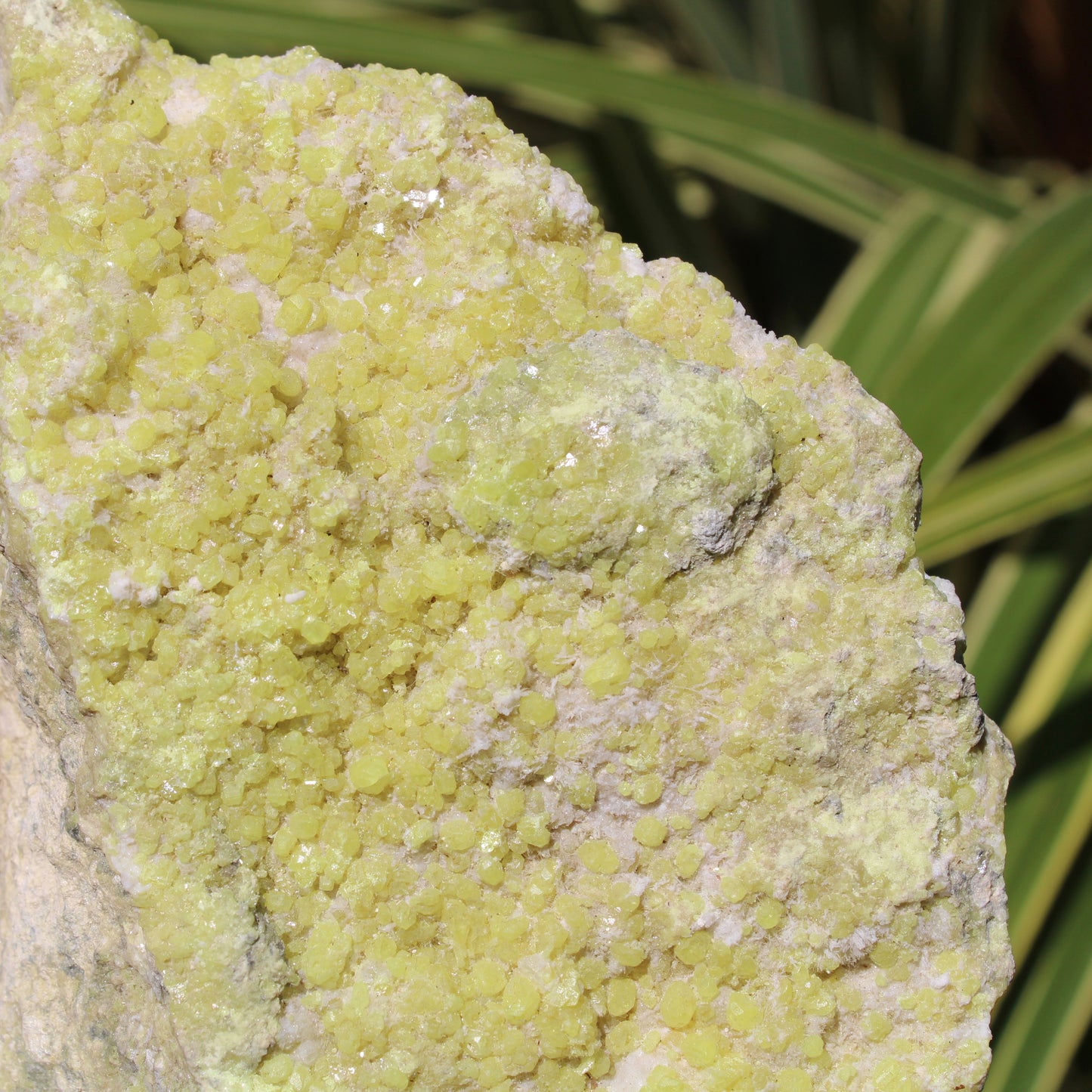 Sulphur Natural Crystal 1