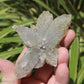 Selenite Spray/Starburst Natural Crystal