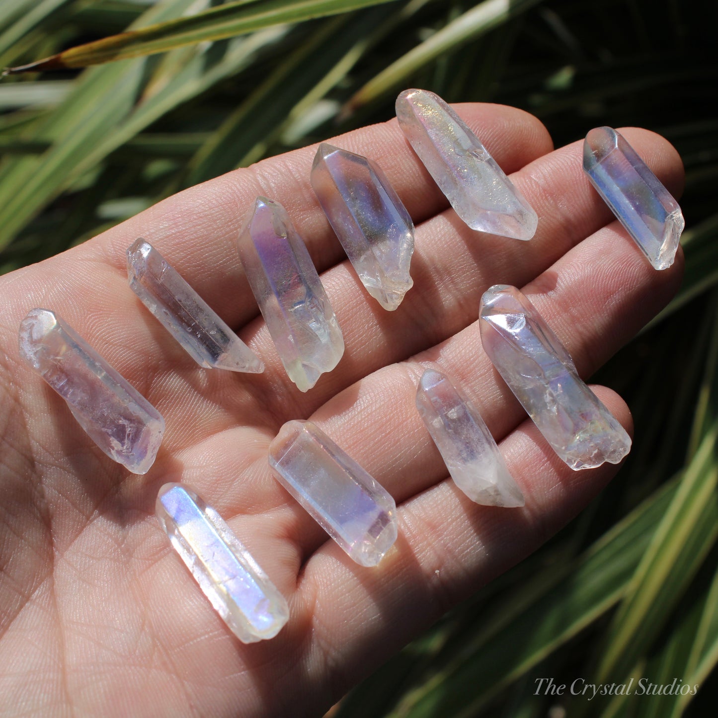 Angel Aura Quartz Small Natural Crystal Points