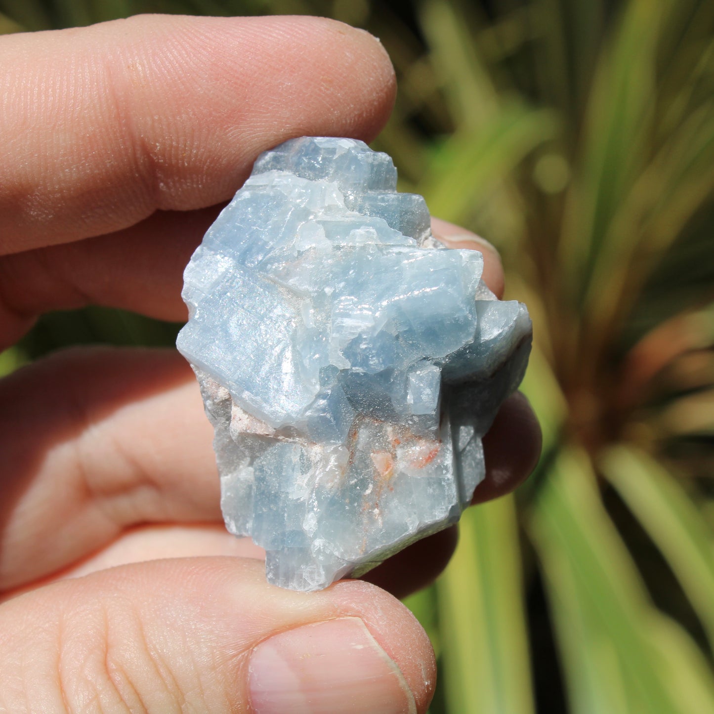 Blue Calcite Natural Medium Crystal 6