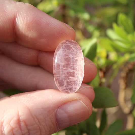 Rose Quartz Polished Cabochon Crystal