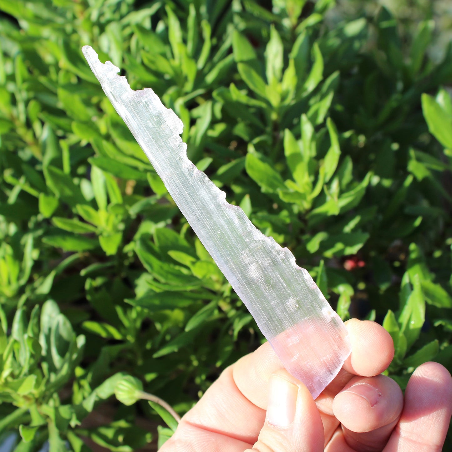 Pink Kunzite Natural Blade