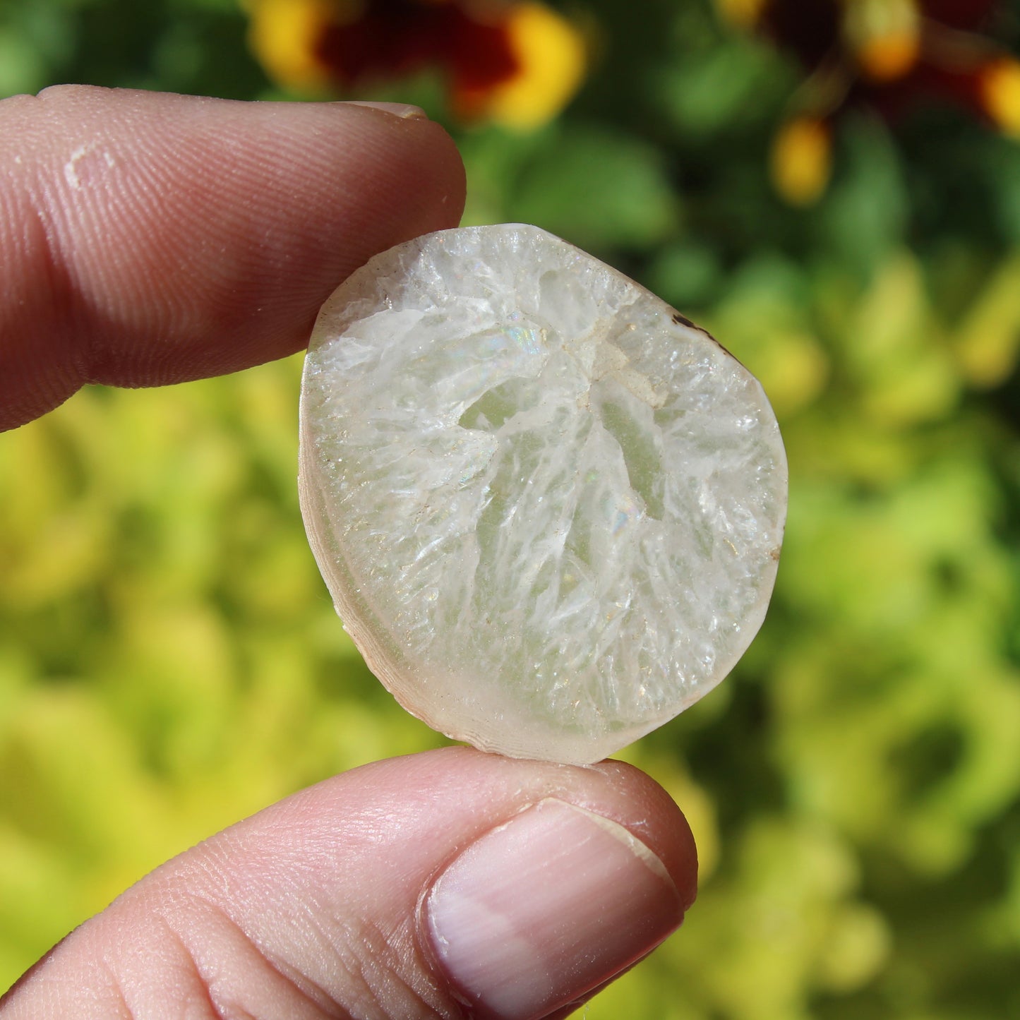 Scottish Agate Polished Crystal