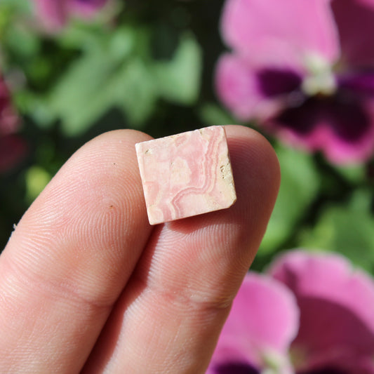 Rhodochrosite Part Polished Crystal